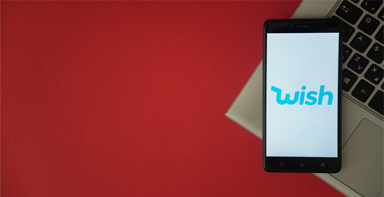 French WS filtering products